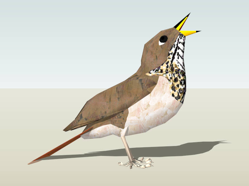 Brown House Sparrow Bird sketchup model preview - SketchupBox