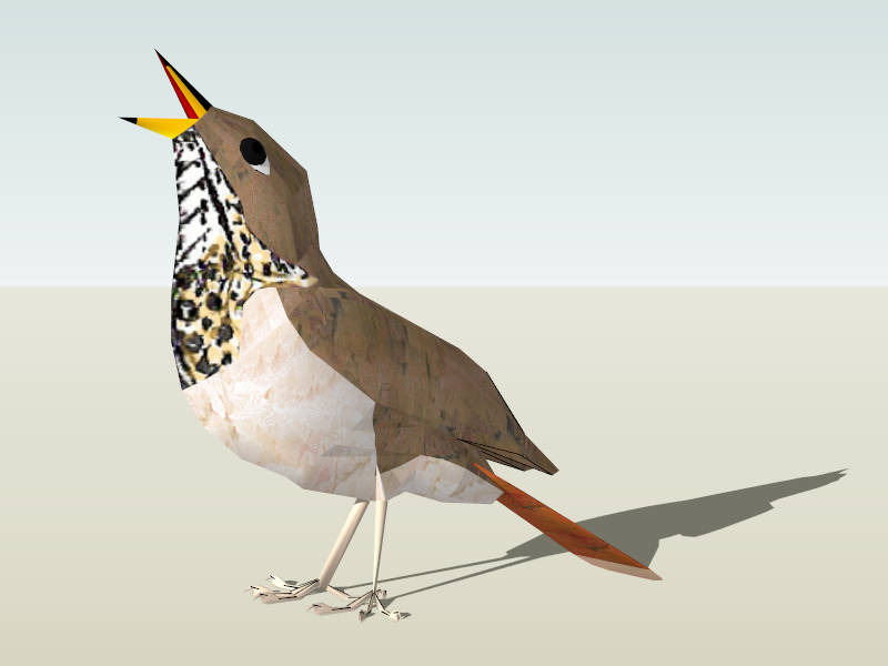 Brown House Sparrow Bird sketchup model preview - SketchupBox