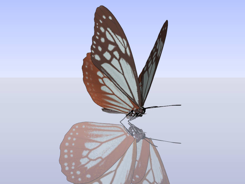 Amazing Butterfly sketchup model preview - SketchupBox