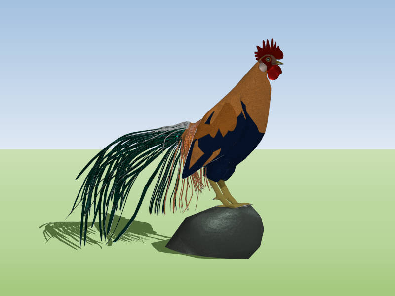 Colorful Rooster Chicken sketchup model preview - SketchupBox
