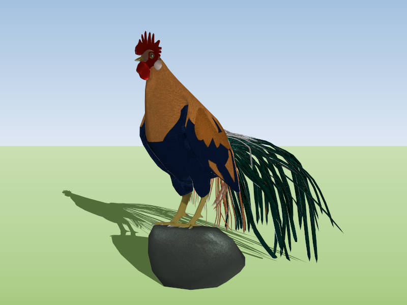 Colorful Rooster Chicken sketchup model preview - SketchupBox