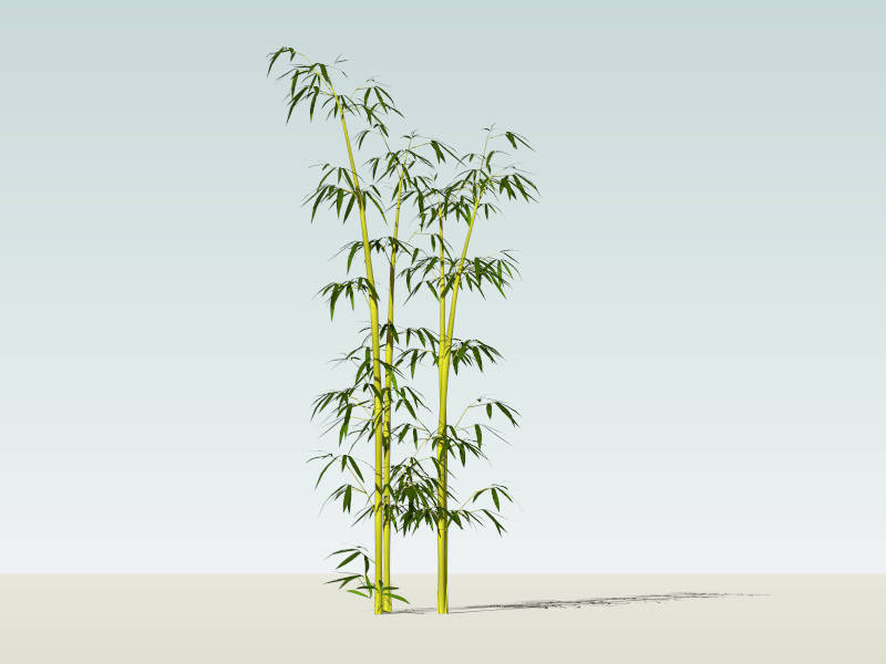 Bamboo Grove sketchup model preview - SketchupBox