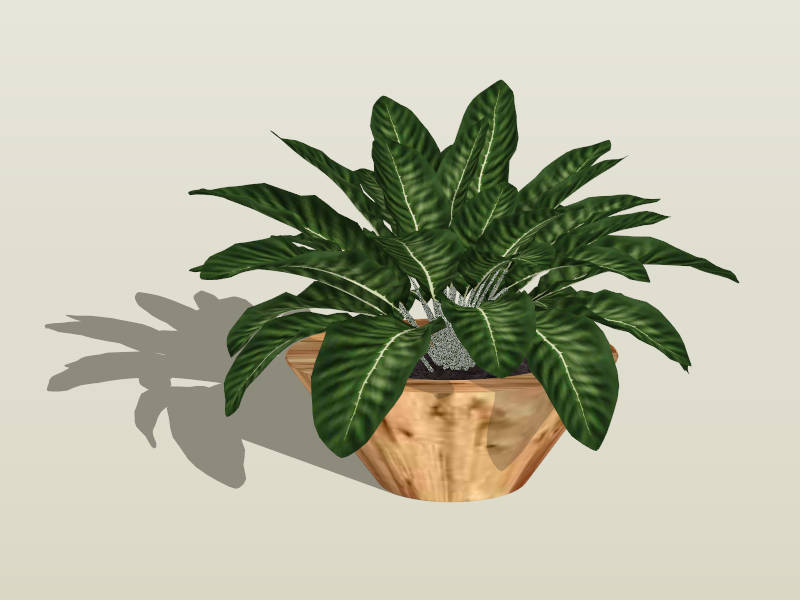 Green Potted Plant sketchup model preview - SketchupBox