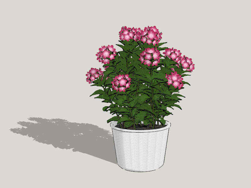 Potted Flowers sketchup model preview - SketchupBox