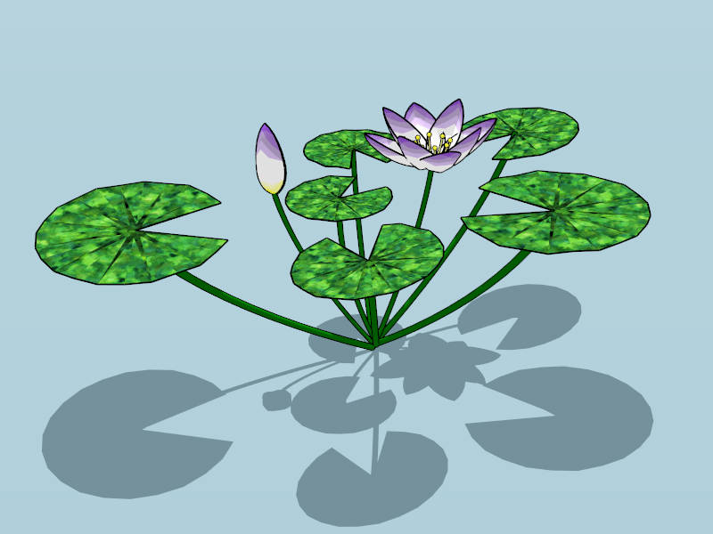 Pond Lotus Plants sketchup model preview - SketchupBox