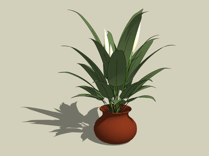 Spathiphyllum Potted Plant sketchup model preview - SketchupBox