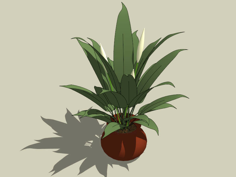 Spathiphyllum Potted Plant sketchup model preview - SketchupBox