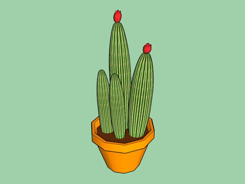 Cactus Potted Plant sketchup model preview - SketchupBox