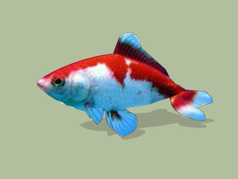 Koi Fish sketchup model preview - SketchupBox