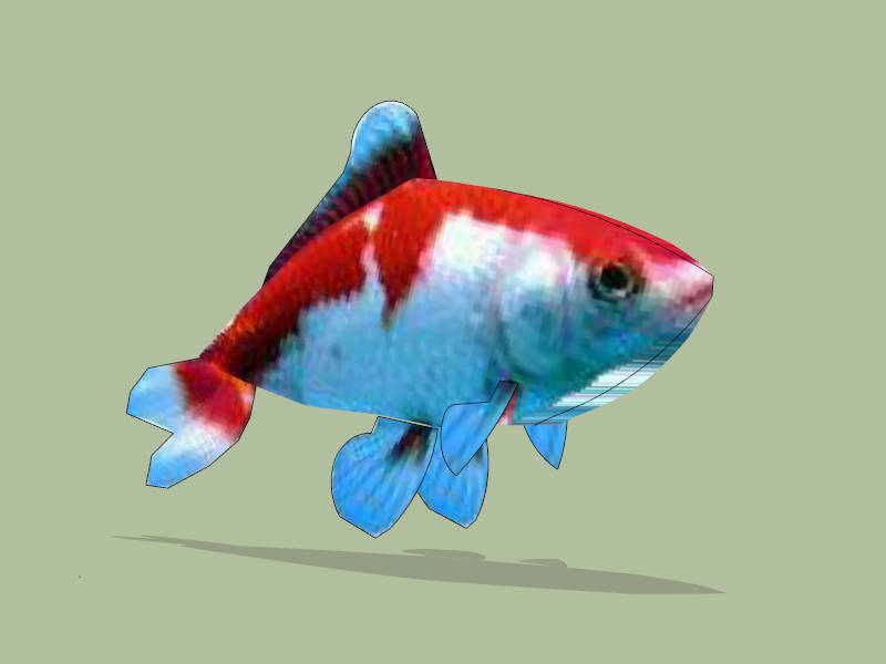 Koi Fish sketchup model preview - SketchupBox