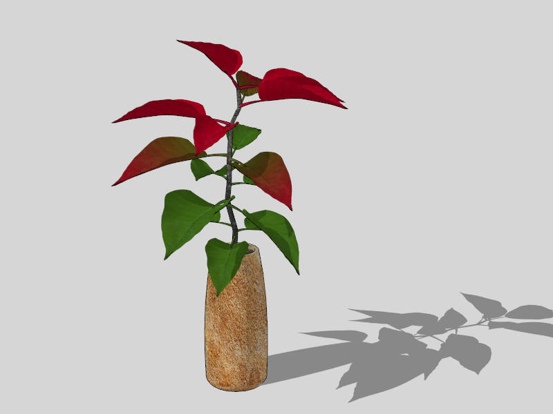 Potted Rubber Tree sketchup model preview - SketchupBox