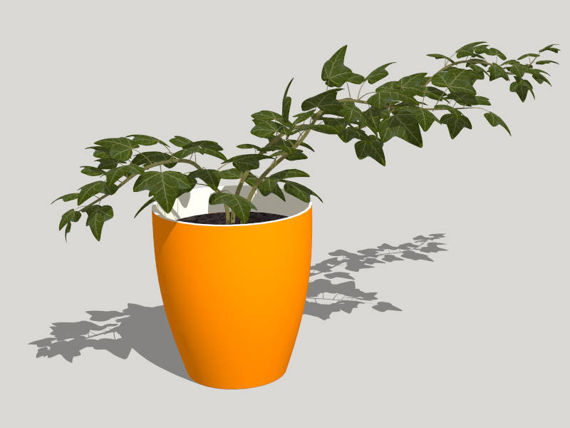 Potted Ivy Plant sketchup model preview - SketchupBox