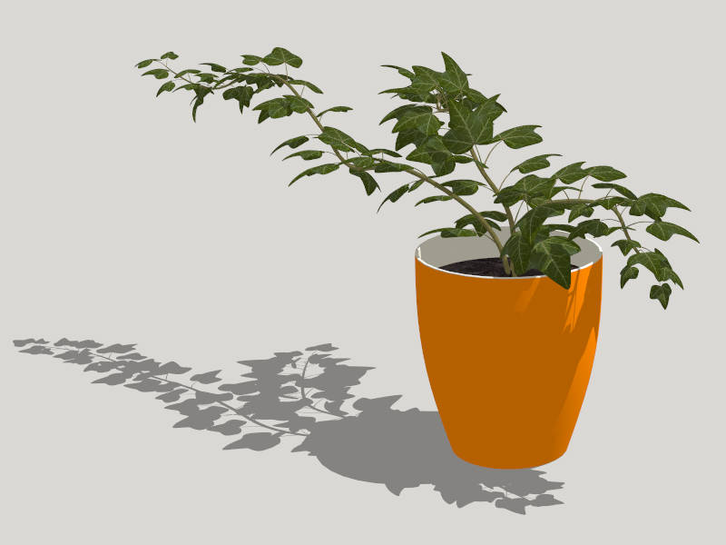 Potted Ivy Plant sketchup model preview - SketchupBox