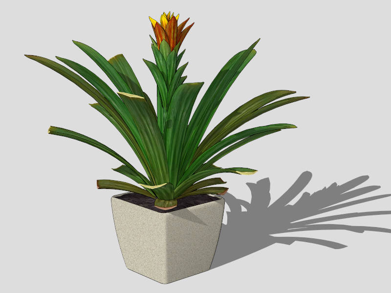 Natal Lily Potted Plant sketchup model preview - SketchupBox