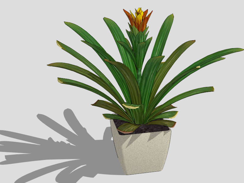 Natal Lily Potted Plant sketchup model preview - SketchupBox