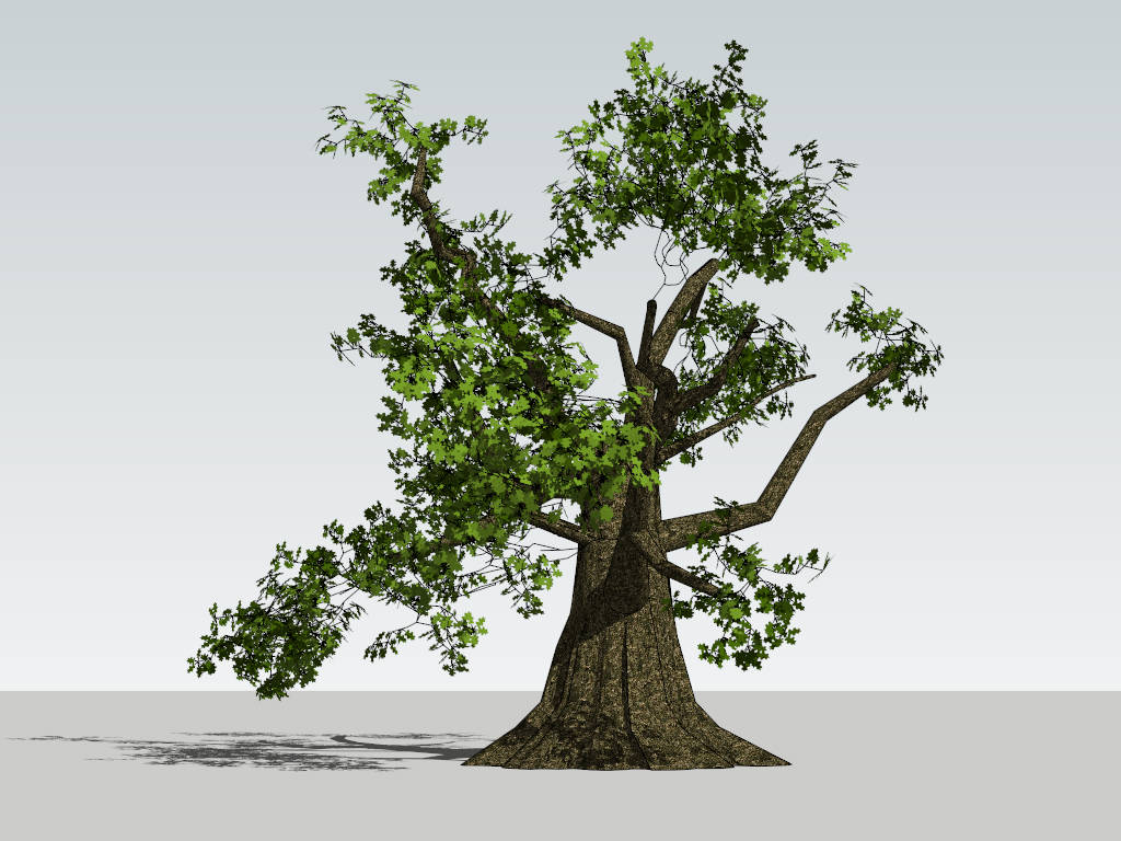Old Oak Tree sketchup model preview - SketchupBox