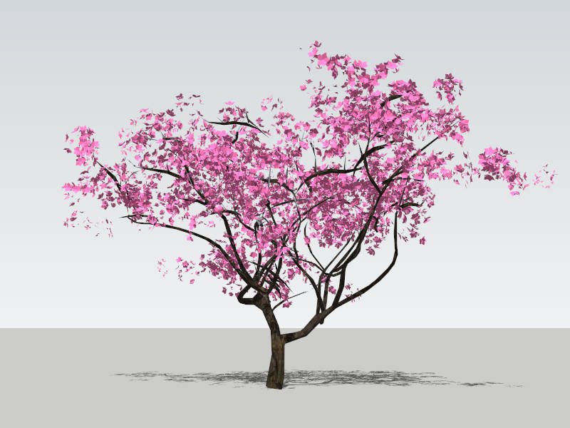 Flowering Peach Tree sketchup model preview - SketchupBox