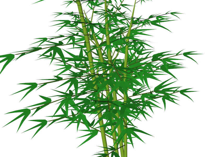Tall Bamboo Plant sketchup model preview - SketchupBox
