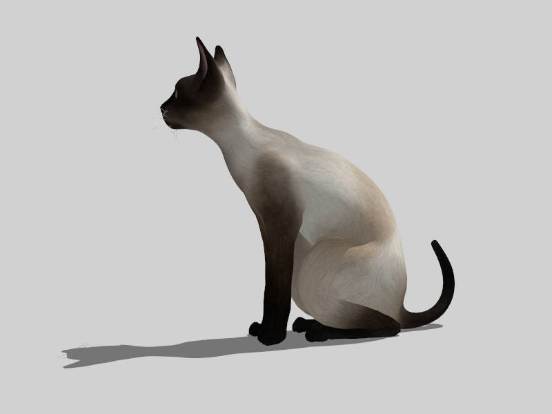 Sitting Siamese Cat sketchup model preview - SketchupBox