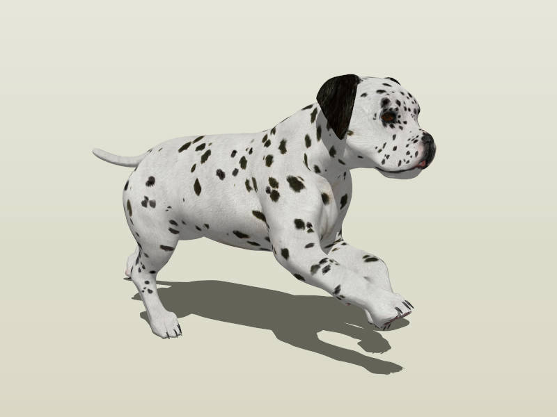 Running Dalmatian Dog sketchup model preview - SketchupBox
