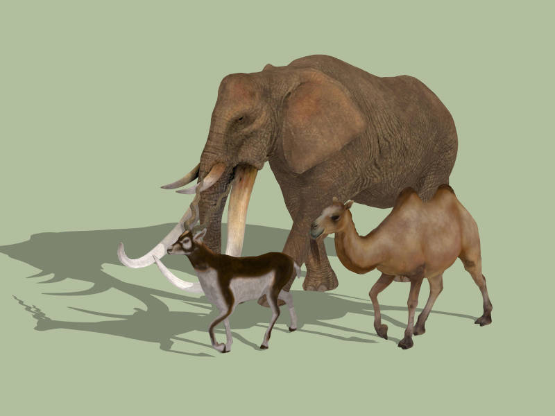 Elephant Camel and Goat sketchup model preview - SketchupBox