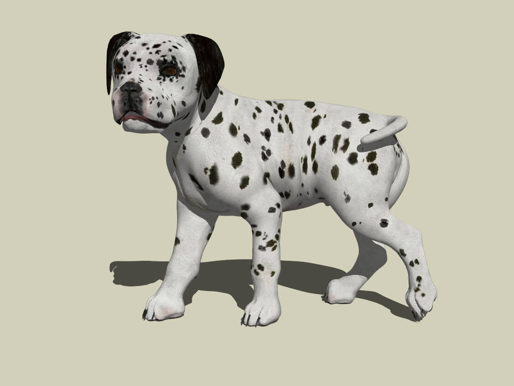 Dalmatian Puppy sketchup model preview - SketchupBox