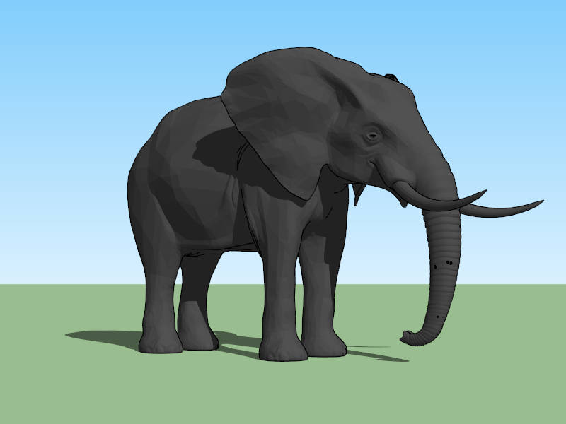 Black Elephant sketchup model preview - SketchupBox