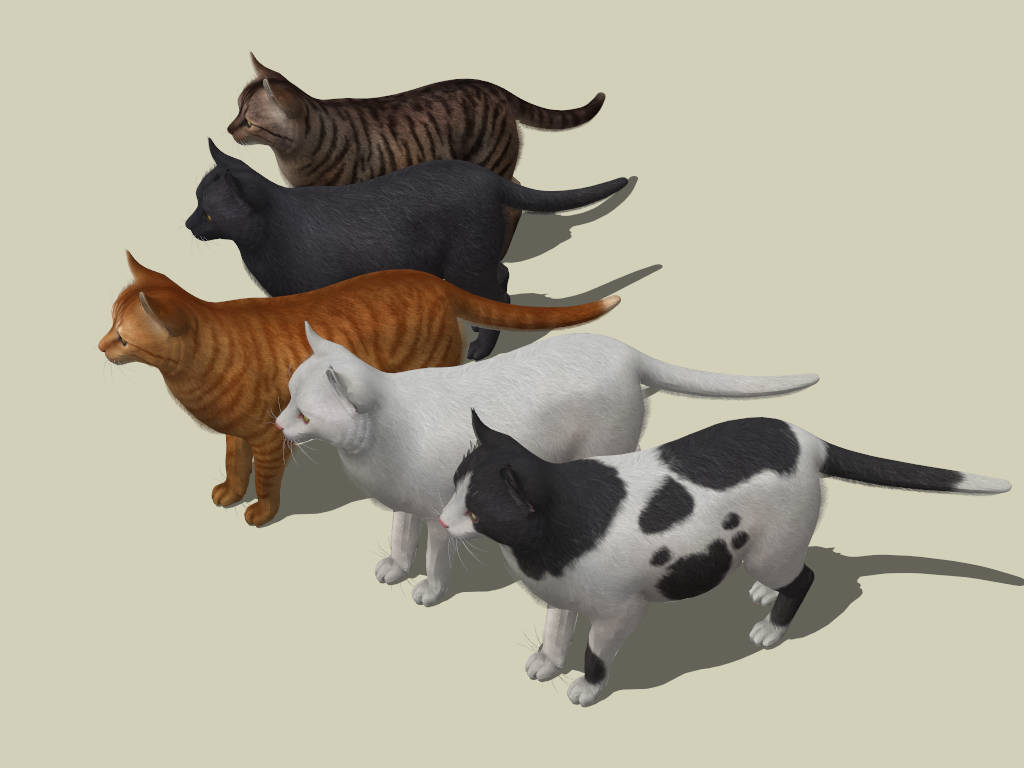 5 Types Of Cats sketchup model preview - SketchupBox