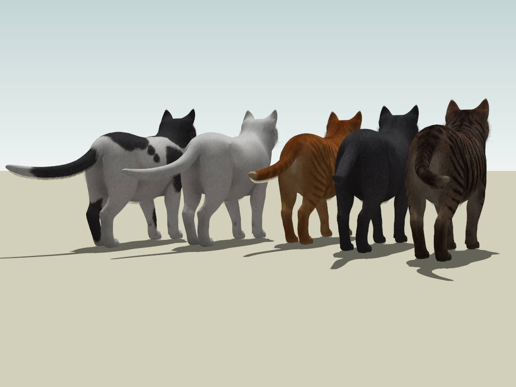 5 Types Of Cats sketchup model preview - SketchupBox