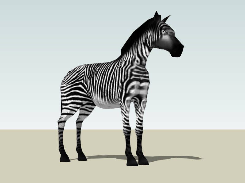 Common Zebra sketchup model preview - SketchupBox