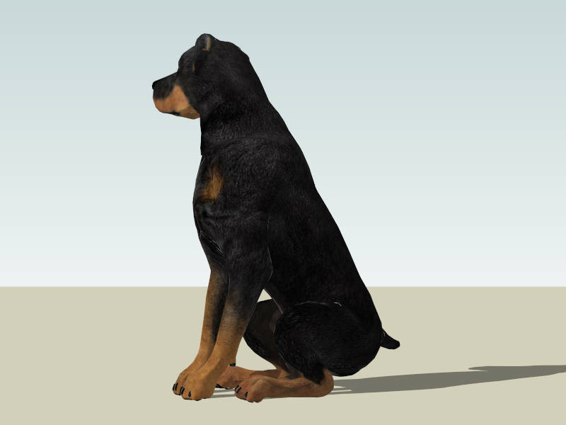 Sitting Rottweiler Dog sketchup model preview - SketchupBox