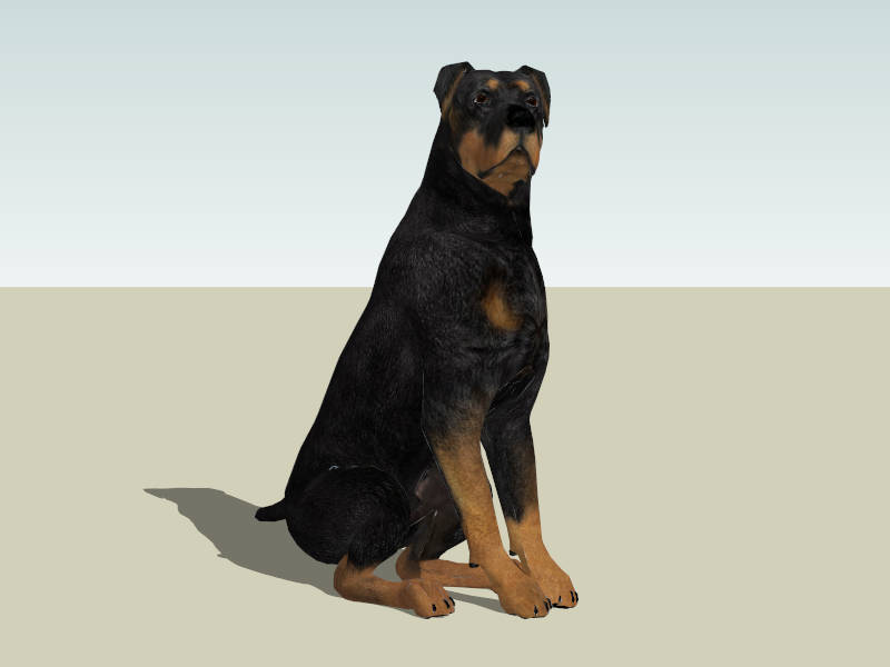Sitting Rottweiler Dog sketchup model preview - SketchupBox