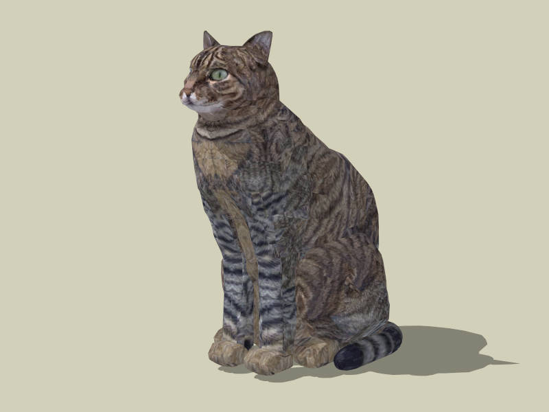 Adult Brown Tabby Cat sketchup model preview - SketchupBox