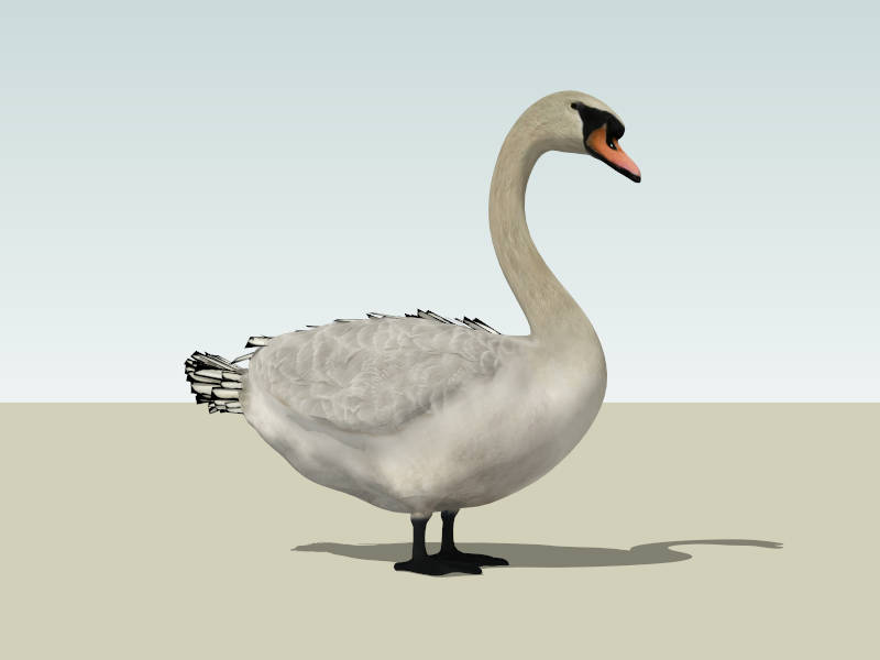 Domestic Goose sketchup model preview - SketchupBox