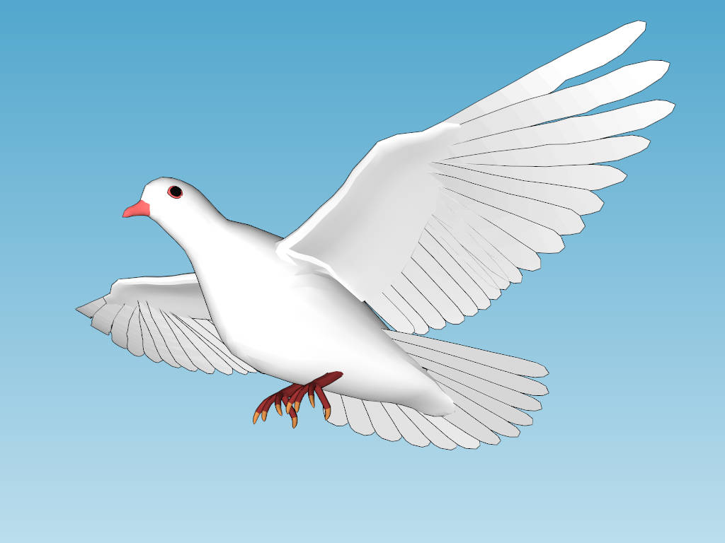 Flying White Pigeon sketchup model preview - SketchupBox
