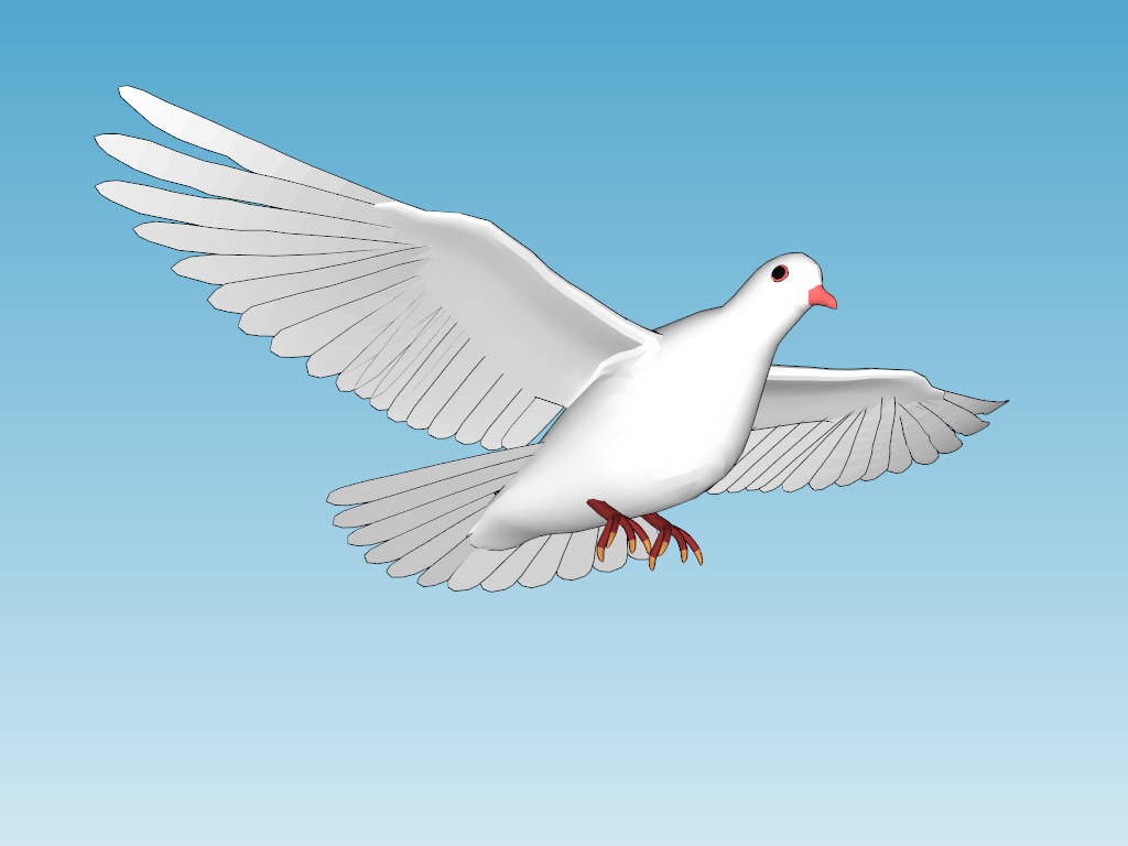 Flying White Pigeon sketchup model preview - SketchupBox
