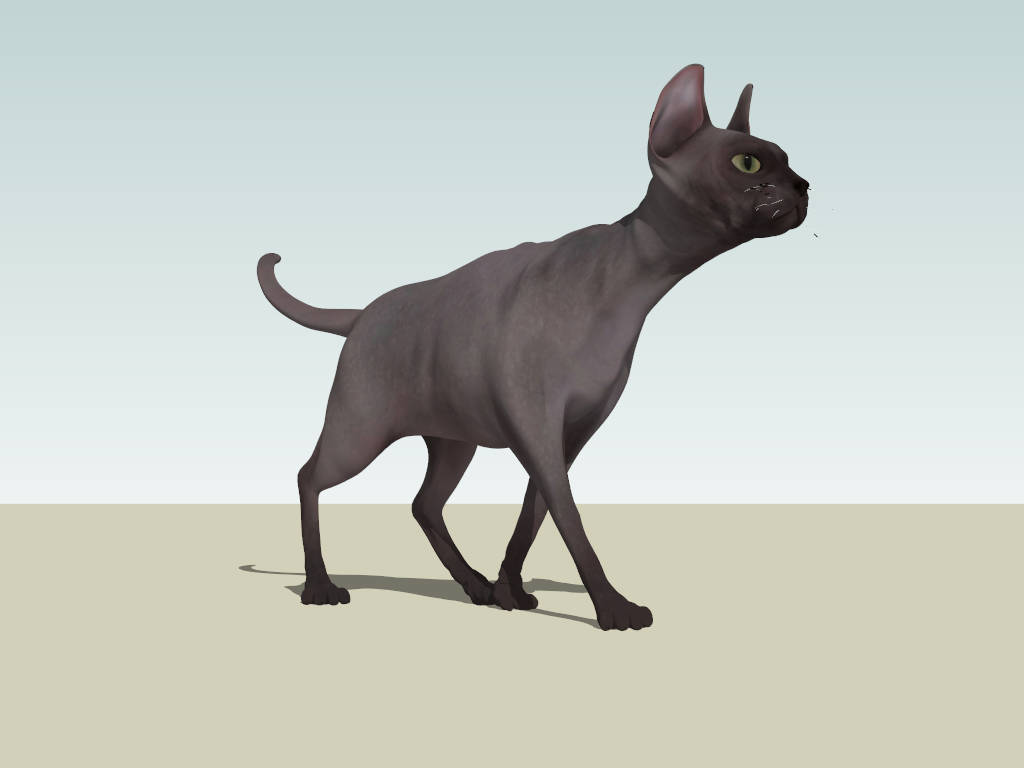 Black Sphynx Cat sketchup model preview - SketchupBox