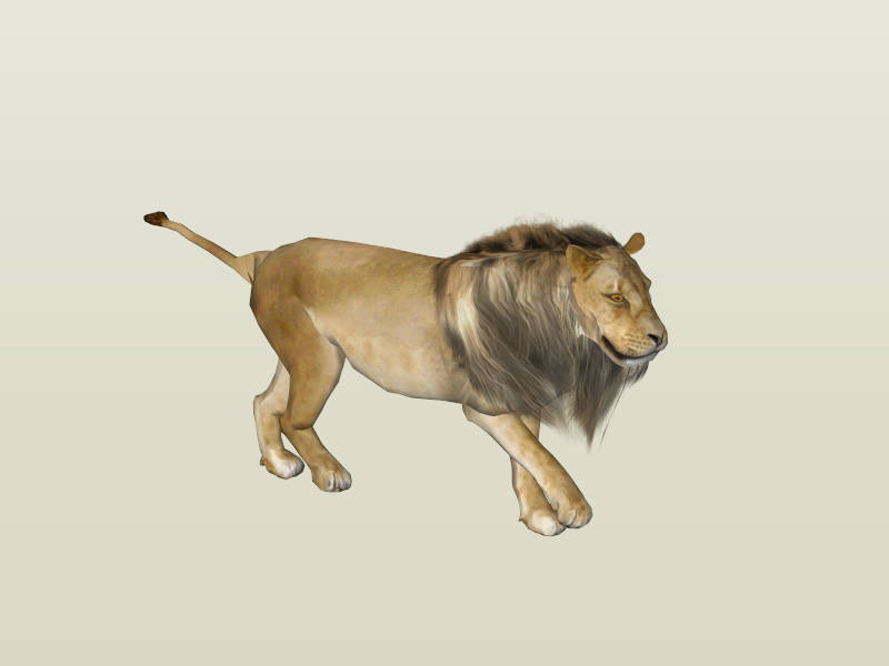 Male Lion sketchup model preview - SketchupBox