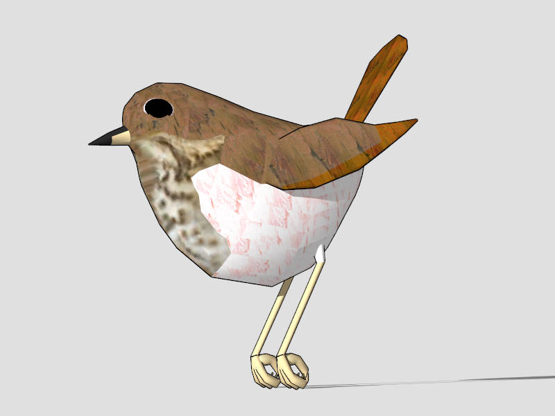 Waterthrush Bird sketchup model preview - SketchupBox