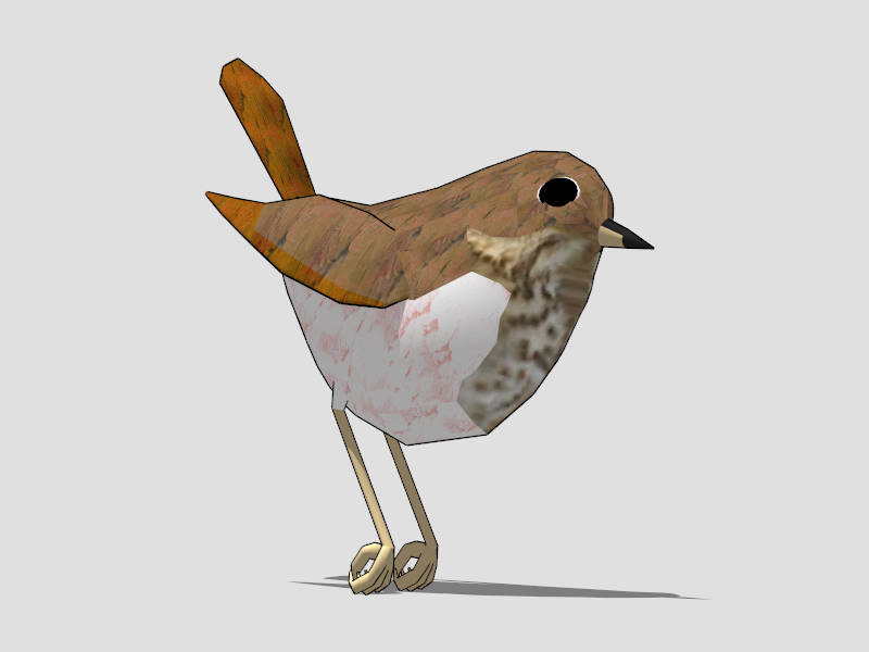 Waterthrush Bird sketchup model preview - SketchupBox