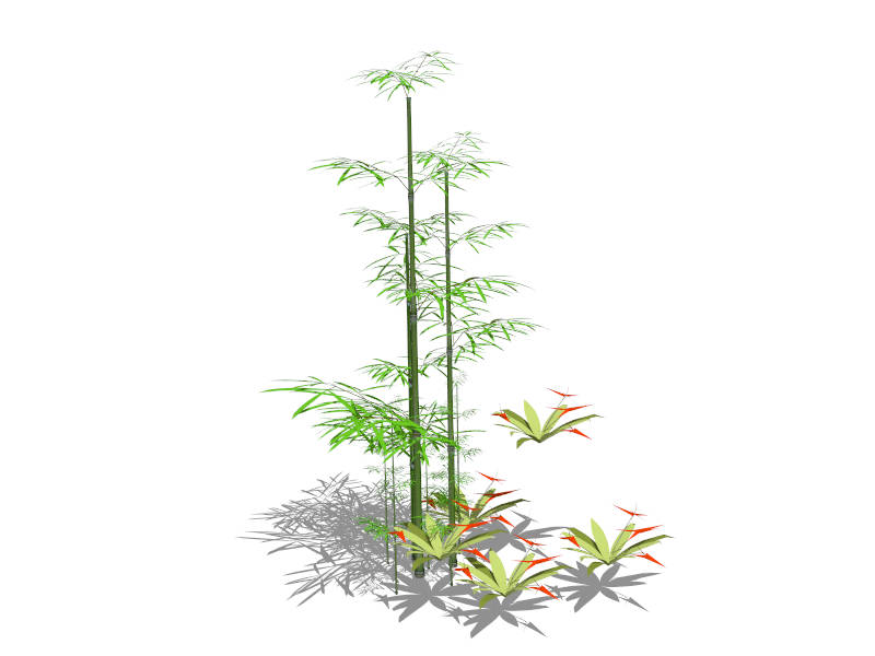 Garden Bamboo Plant sketchup model preview - SketchupBox