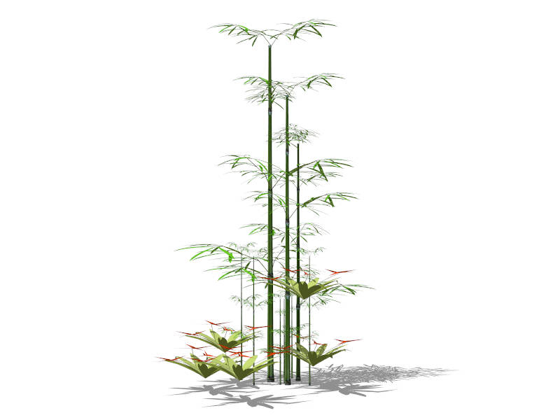 Garden Bamboo Plant sketchup model preview - SketchupBox