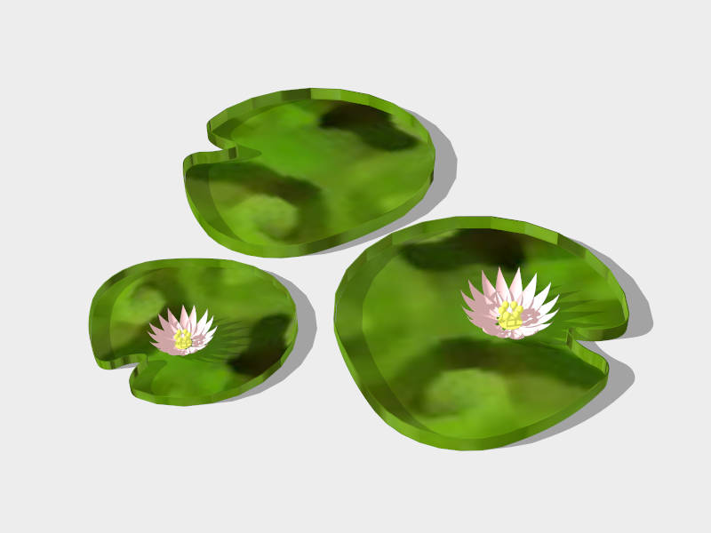 Water Lily Plant sketchup model preview - SketchupBox