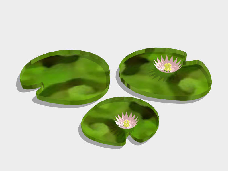 Water Lily Plant sketchup model preview - SketchupBox