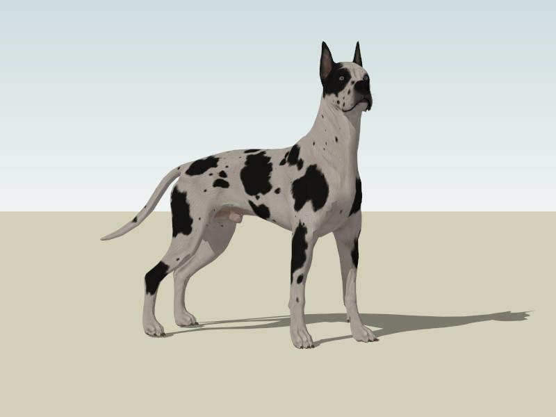 Harlequin Great Dane sketchup model preview - SketchupBox