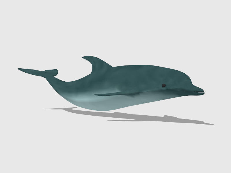 Blue Dolphin sketchup model preview - SketchupBox