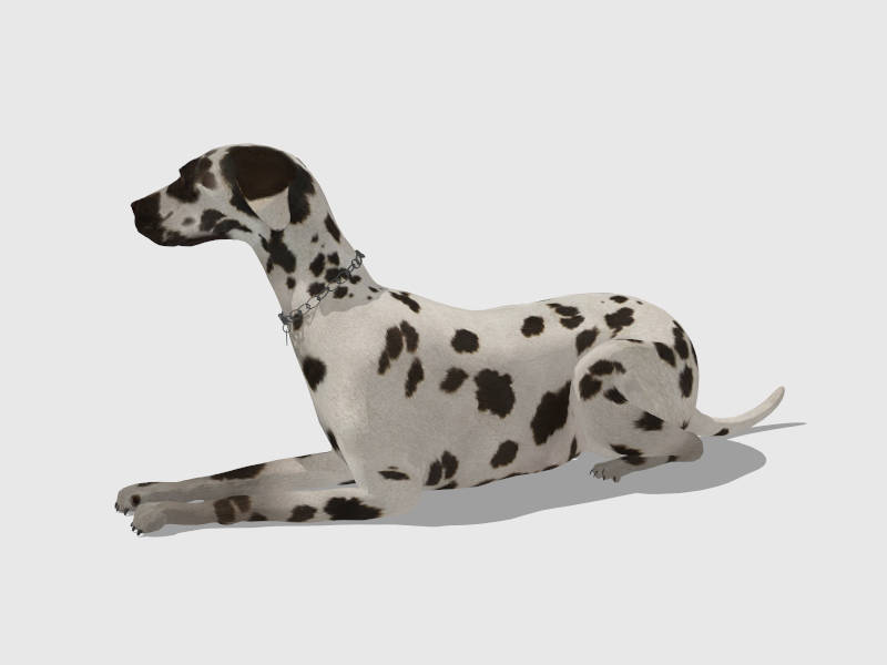 Spotted Dog sketchup model preview - SketchupBox