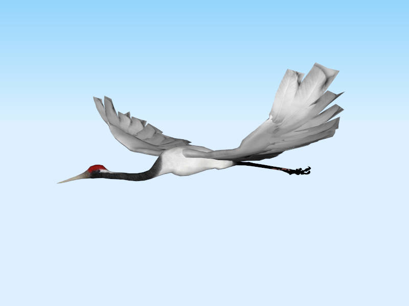 Flying Crane Bird sketchup model preview - SketchupBox