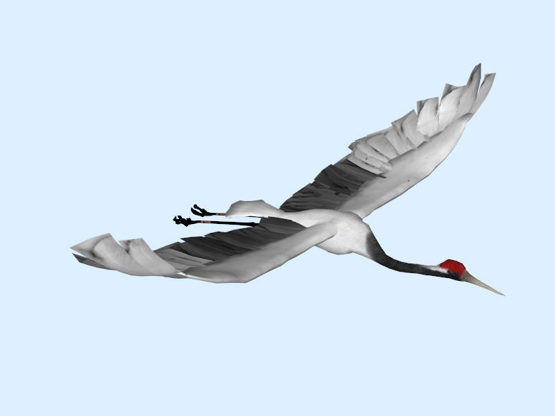Flying Crane Bird sketchup model preview - SketchupBox