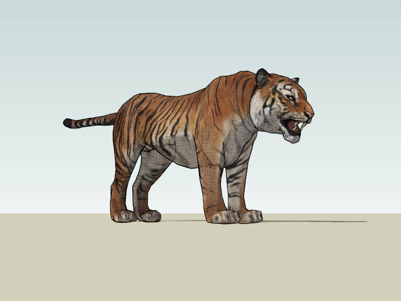 Siberian Tiger sketchup model preview - SketchupBox